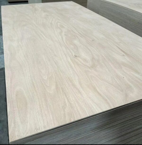 5 MM Plywood Okoume  Poplar Core - Image 3